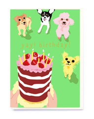 Noi Publishing Yay! Birthday! Card