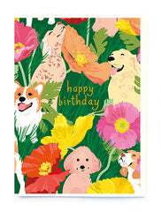 Noi Publishing Happy Birthday Dog Card