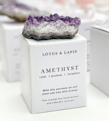 Lotus & Lapis Amethyst Druze Grade A Boxed