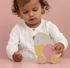 The Little Dutch - Pull Along Bird Abby