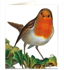 Archivist - Robin Greetings Card