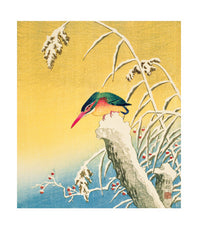 Art Angels - Kingfisher in Snow by Koson Ohara