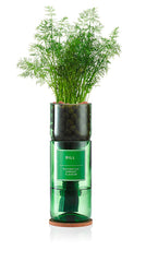 Hydro-Herb Kit- Dill