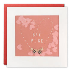 Bee Mine Valentine's Day Card with Paper Confetti - Paper Shakies by James Ellis