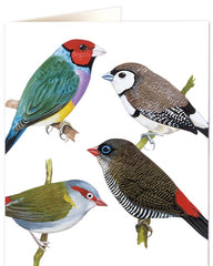 Archivist Finches Card