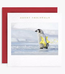 Susan O’Hanlon Penguin Christmas Card