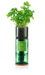 Hydro-Herb Kit- Flat Parsley