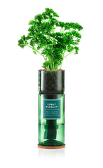 Hydro-Herb Kit- Curly Parsley