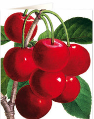 Archivist Cherries Card