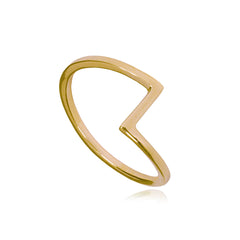 Matthew Calvin Joint Ring in Gold & Silver